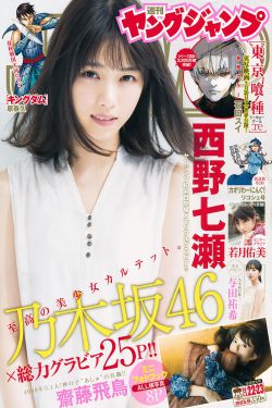 知否知否应是绿肥红瘦 电视剧